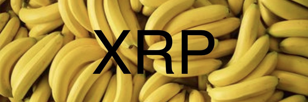 Yoda KEE |🗡️| tradermind.crypto banner