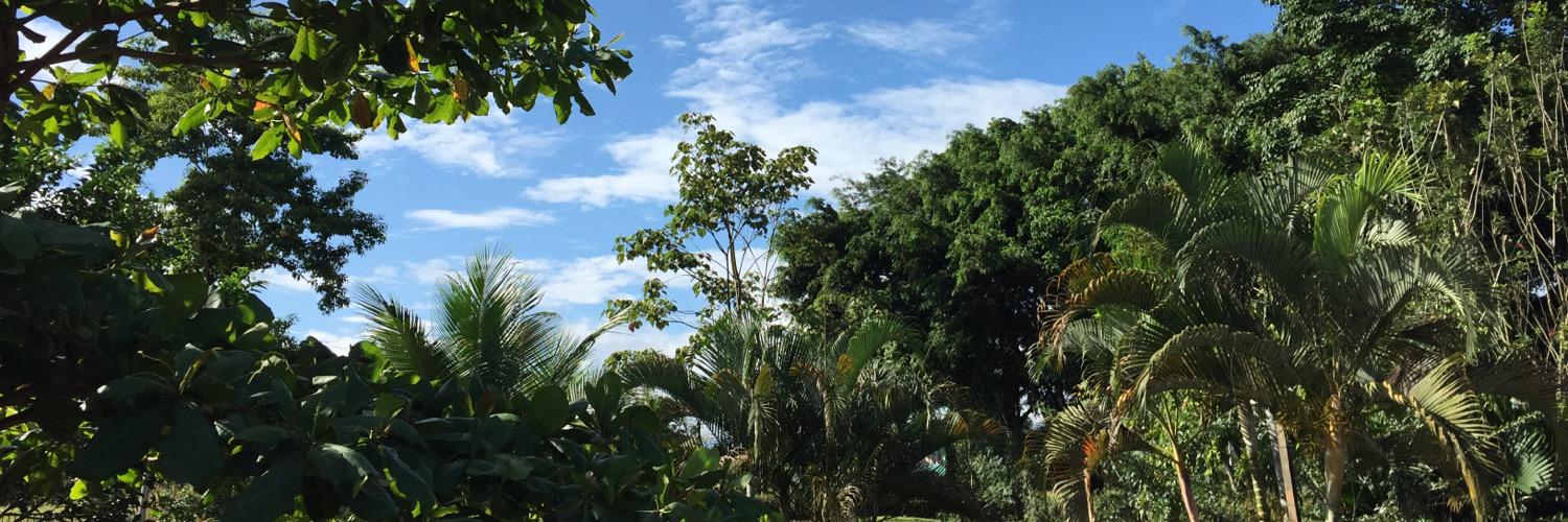 DavidMorenoVal's profile banner image