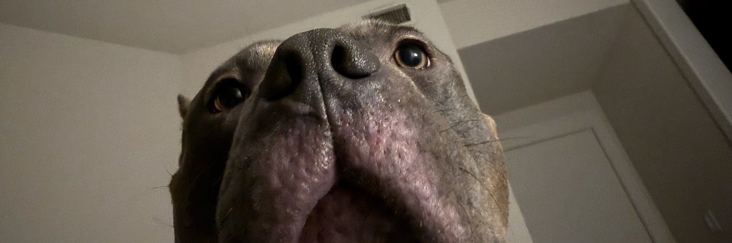AlexAttar3's profile banner image
