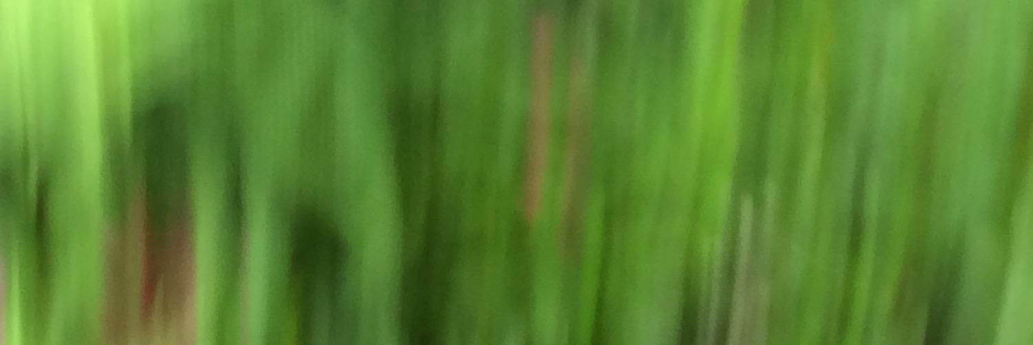 ZIBAISEKINYAN's profile banner image