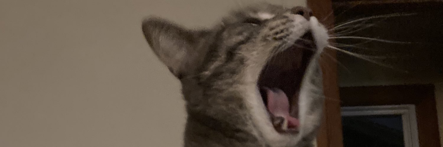 MarMarMette's profile banner image