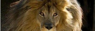aissaoub's profile banner image
