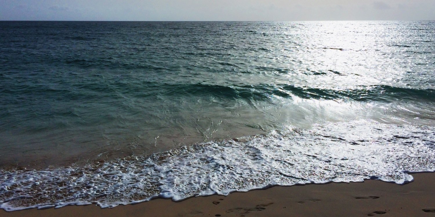 Reni_Reida's profile banner image