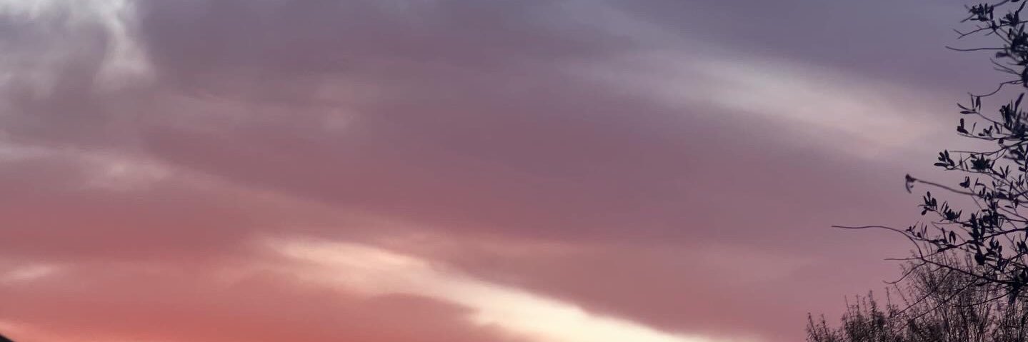 __cheryle's profile banner image