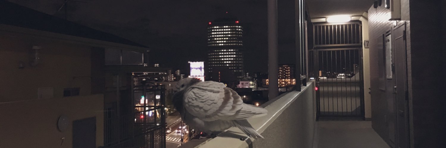 myolunn's profile banner image