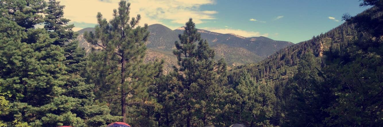 kellllyburton's profile banner image