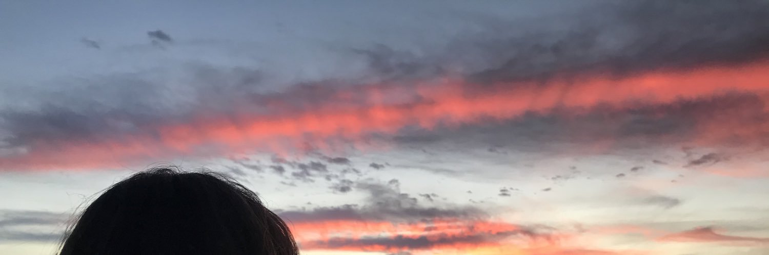 pau_vaga's profile banner image