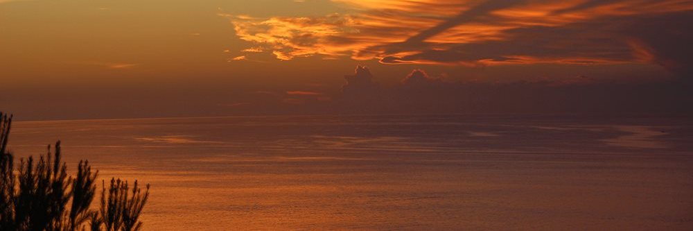 Derivathandel's profile banner image