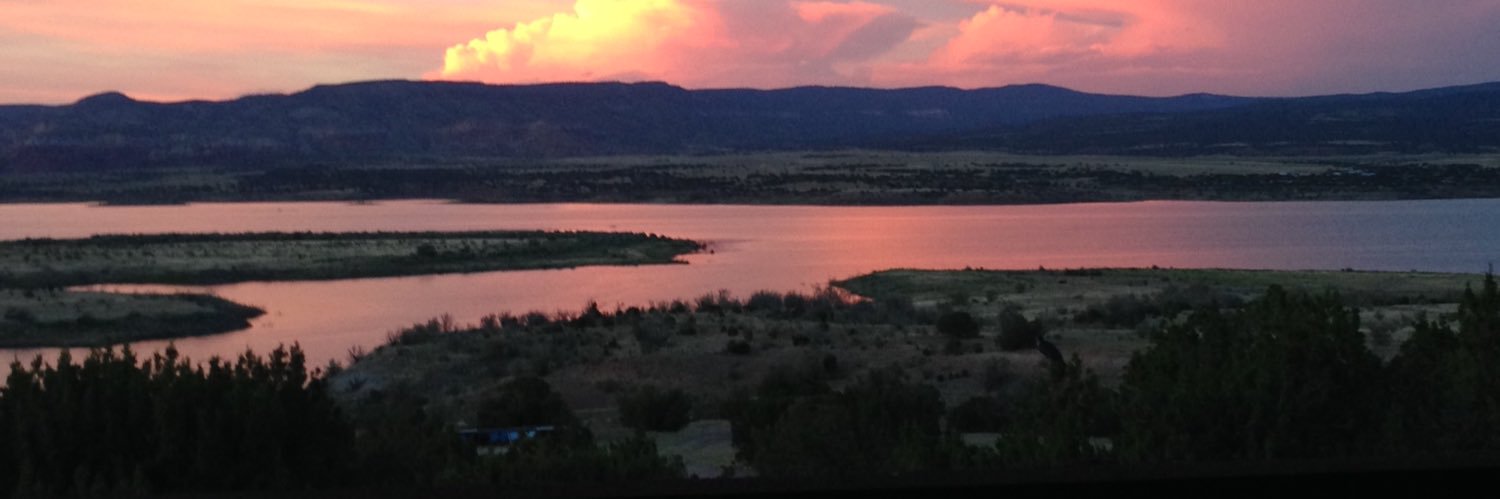 elayne brucker banner