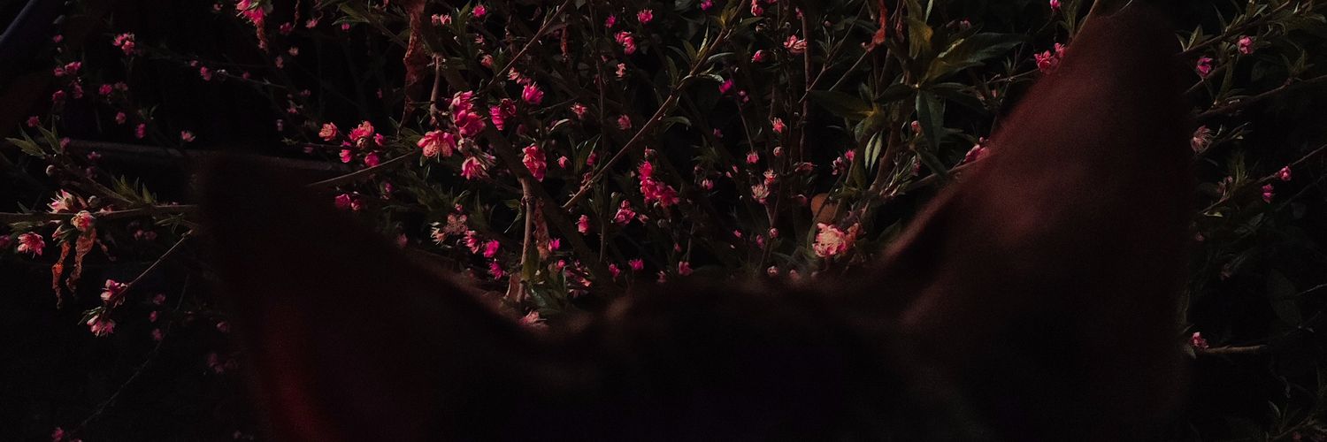 71Aezf's profile banner image