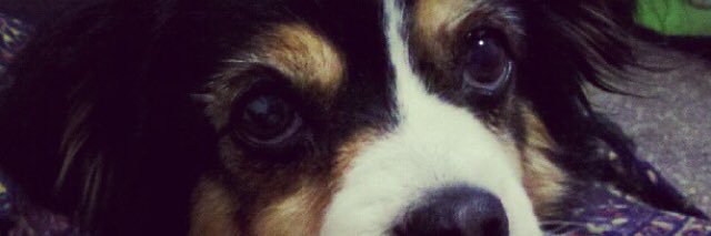 pena_nata's profile banner image