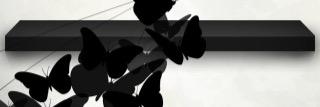 frokenfjaril's profile banner image