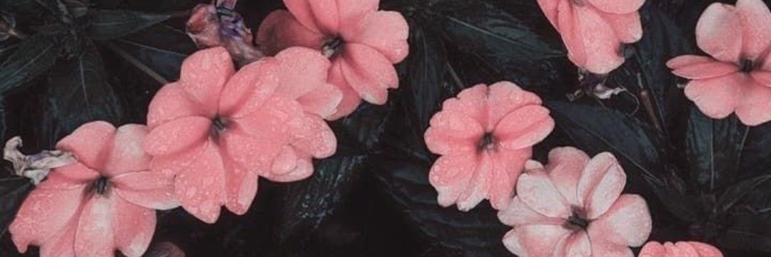 MMariaVictoria6's profile banner image