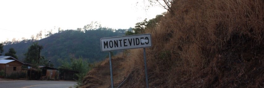 Daniel Machín banner