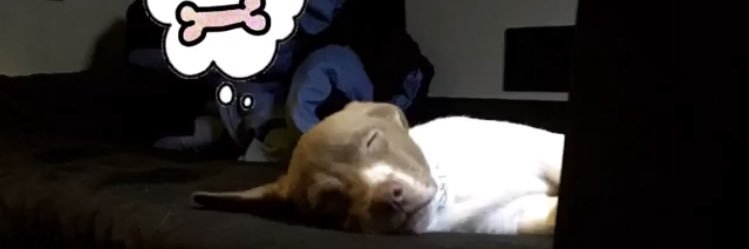 sunnyemerald12's profile banner image