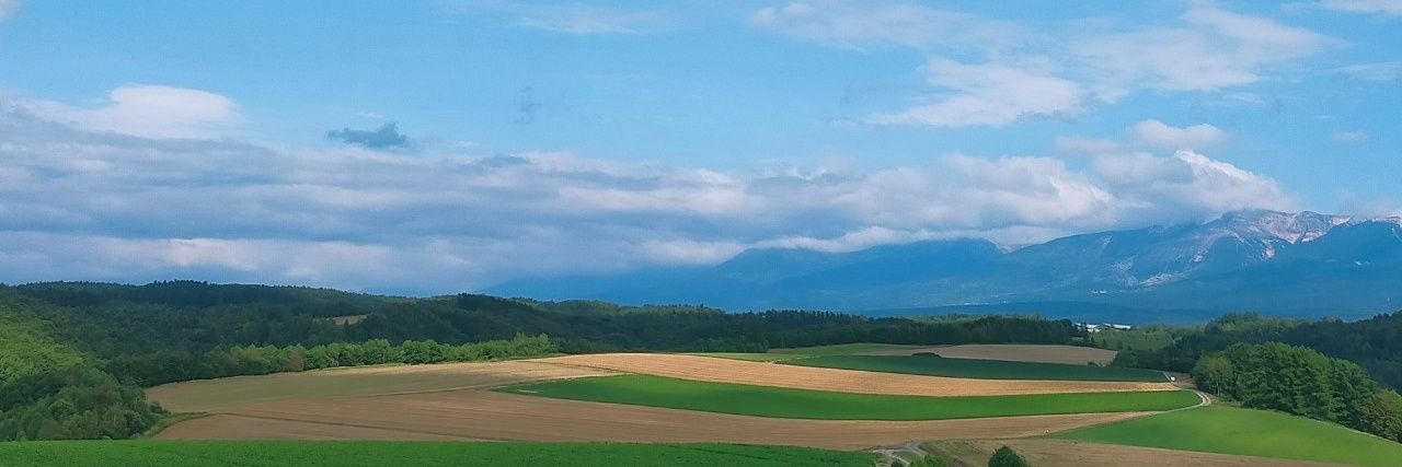 Tomo取引アカ banner