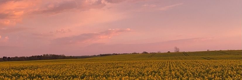 fer_r's profile banner image
