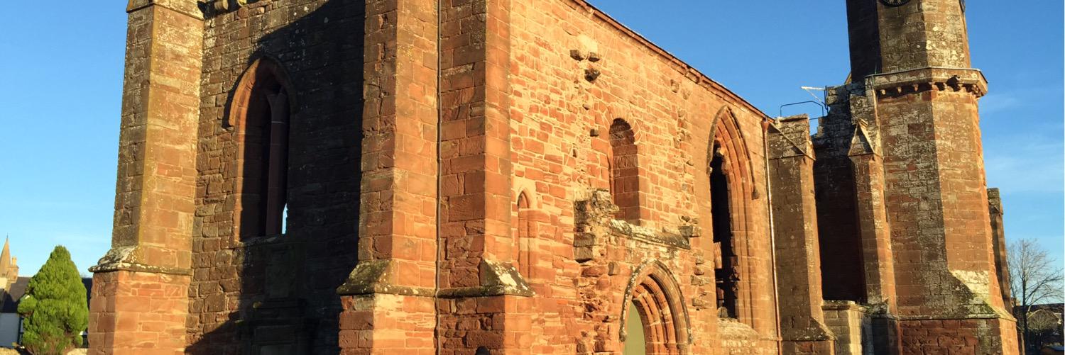 Dr Ana Paula Fonseca banner