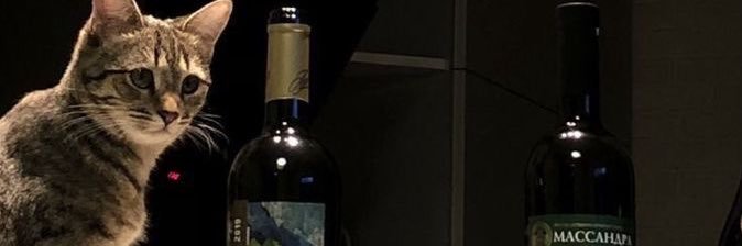 mugrosera's profile banner image