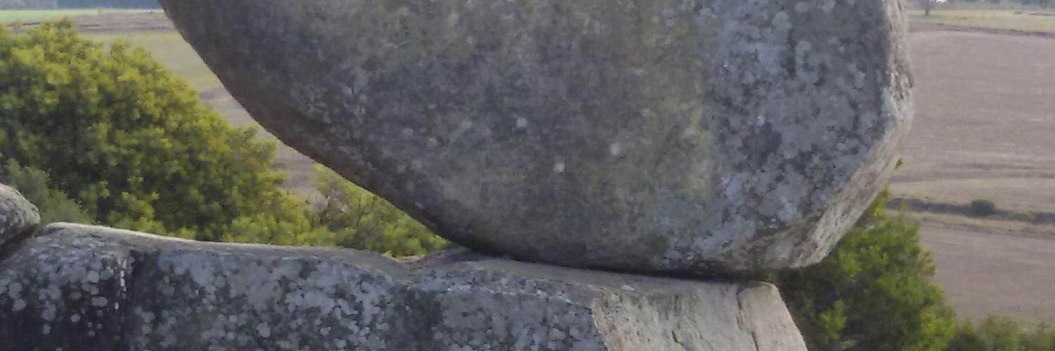 Luis Maria Roson banner