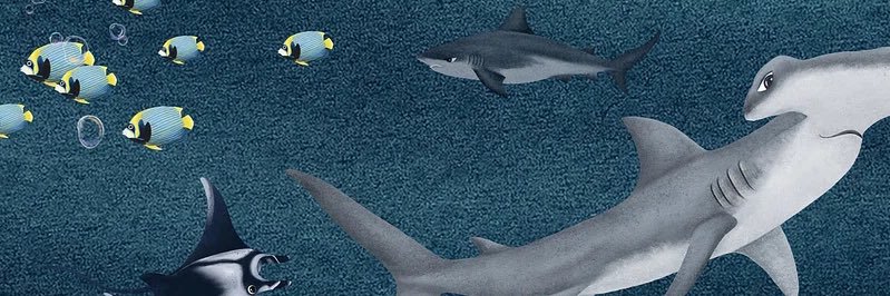 calebjapple's profile banner image