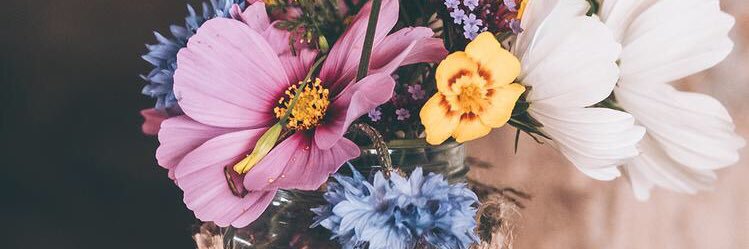 viannacaroline's profile banner image