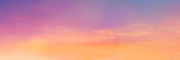 xlPSRlx Profile Banner