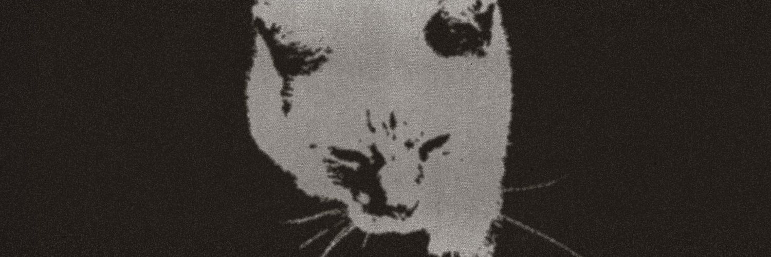 vecinius's profile banner image