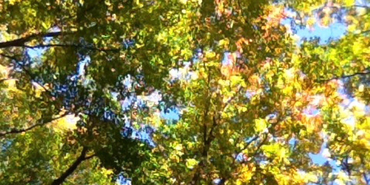 abbymarree's profile banner image