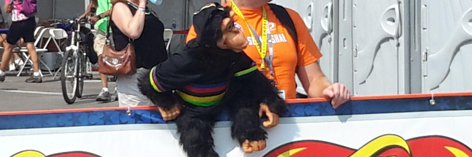 WorldChimp's profile banner image