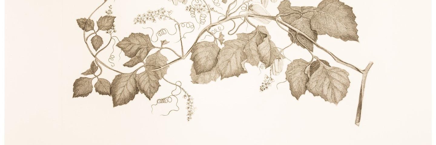RaimondoNick's profile banner image