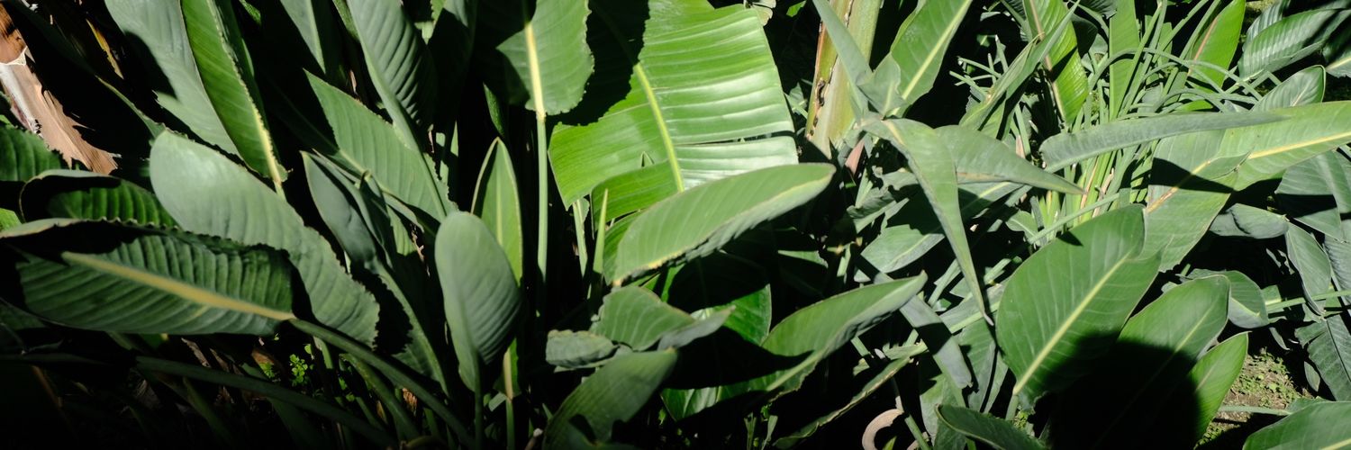 emretxt's profile banner image