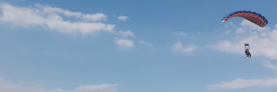 tostosma's profile banner image
