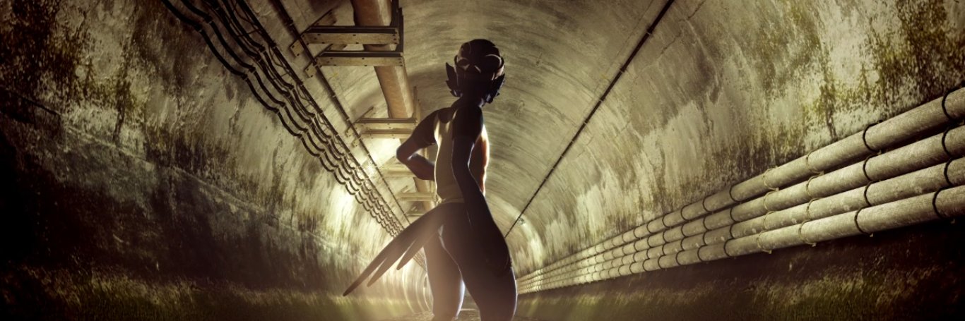 🐦 Birbo 🐦 banner