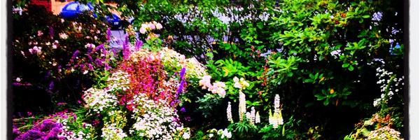 HilaryRadner Profile Banner