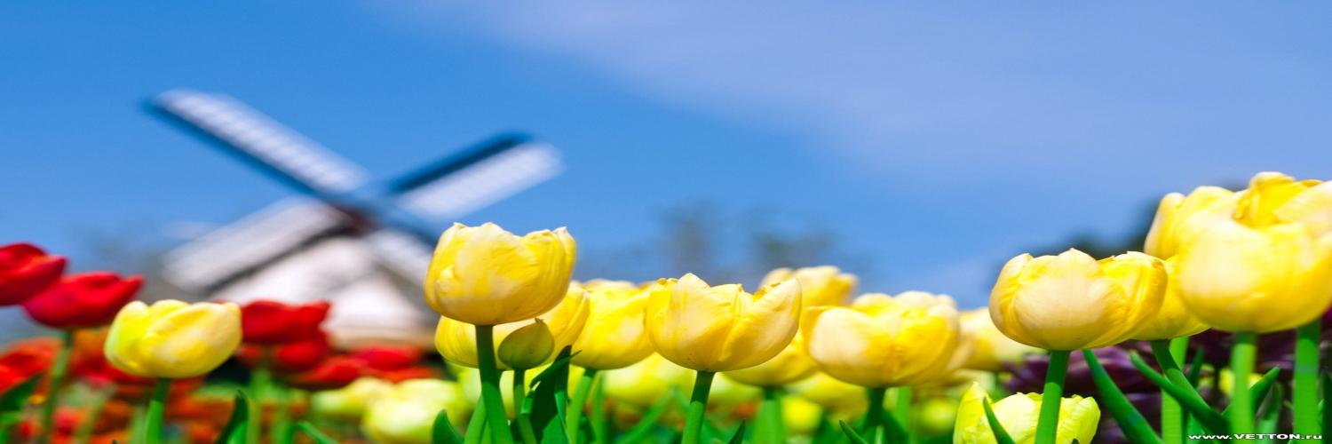 ryo_HASE321's profile banner image