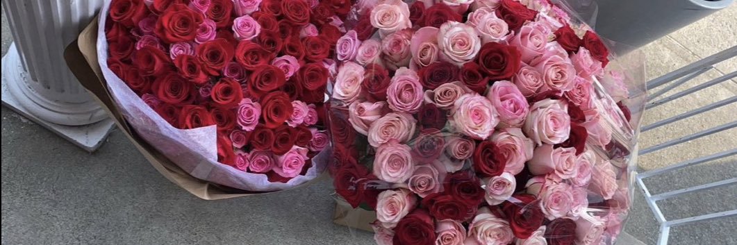 αηgєℓ🕊️ℓσνє banner