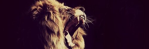 king_cortezz's profile banner image