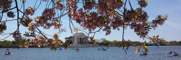 aaron_d_mackey Profile Banner