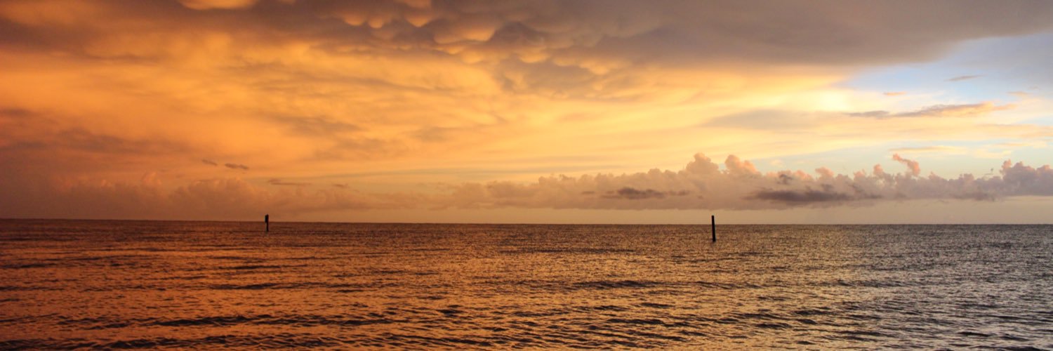 GrantRoseen's profile banner image
