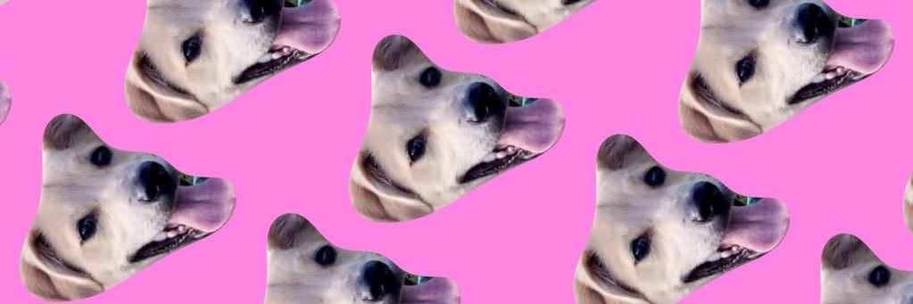 beethakneee's profile banner image