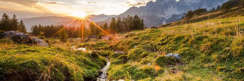 Michael Suttles banner