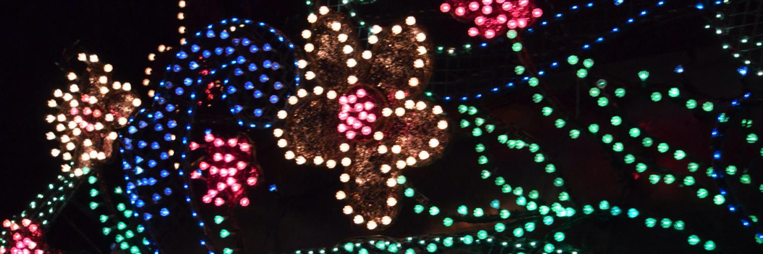 skloveDaisy's profile banner image