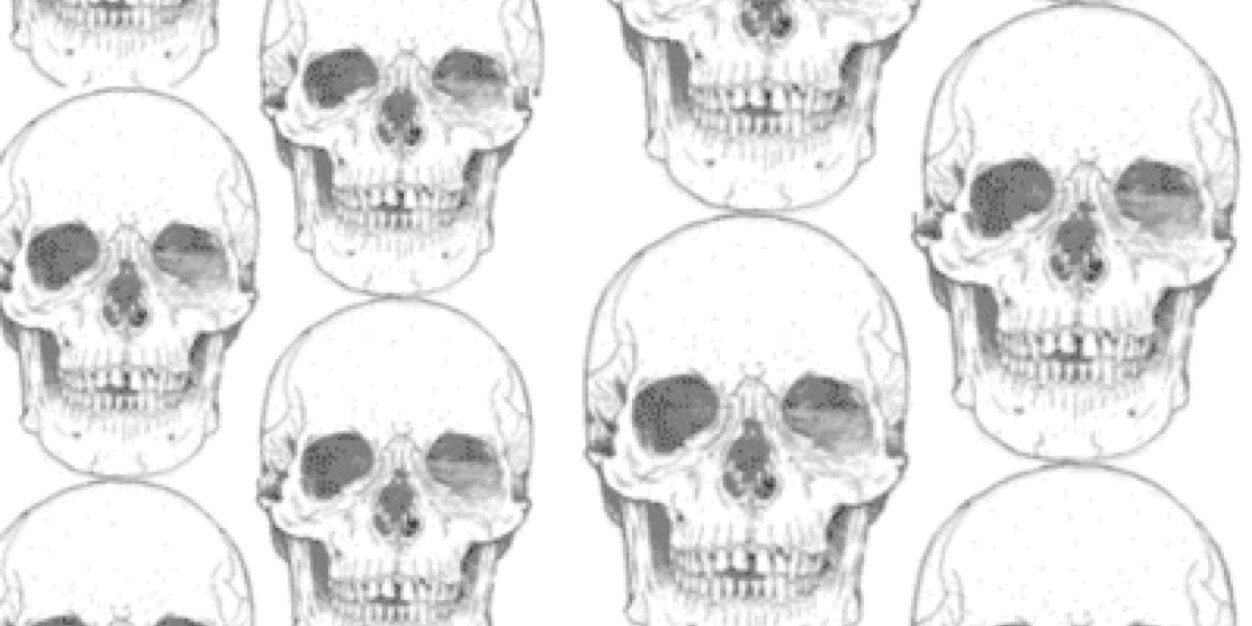 MasterFlowers banner