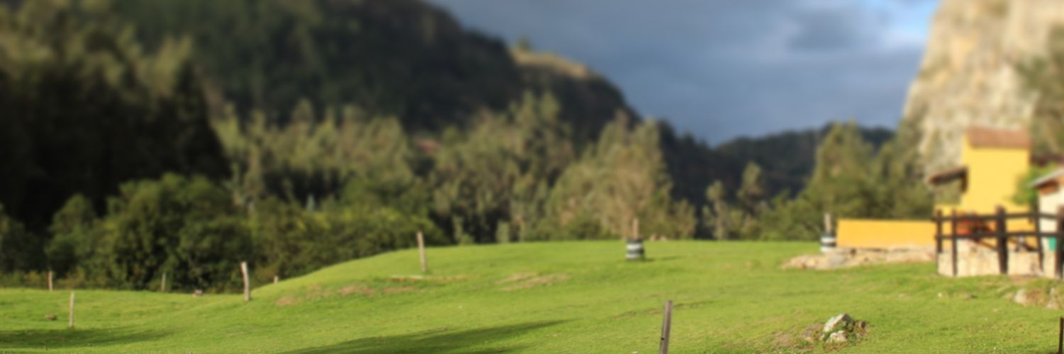 miguel_pic's profile banner image