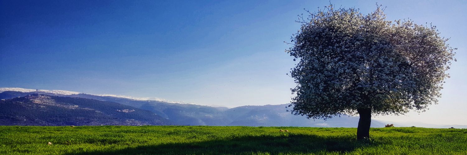 Omtiesto's profile banner image
