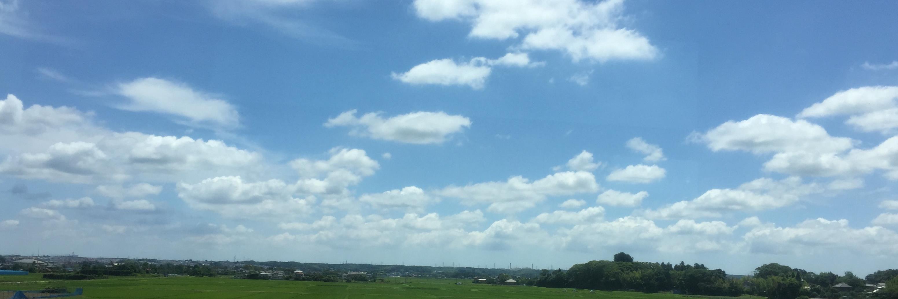 mikapuppy's profile banner image