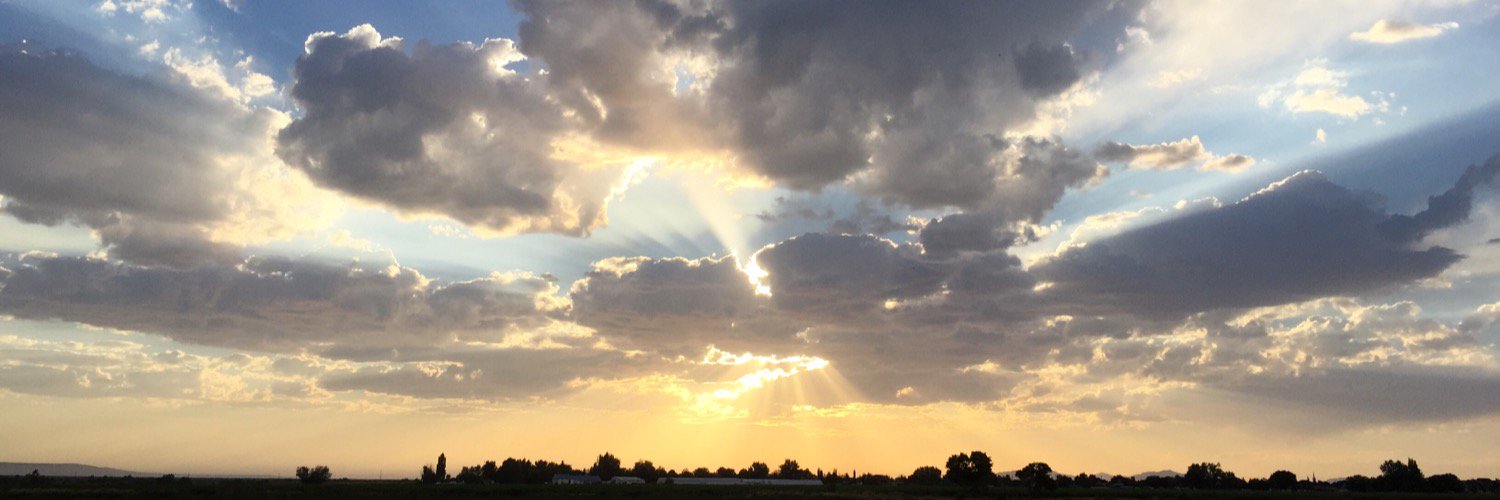Courtisecular's profile banner image