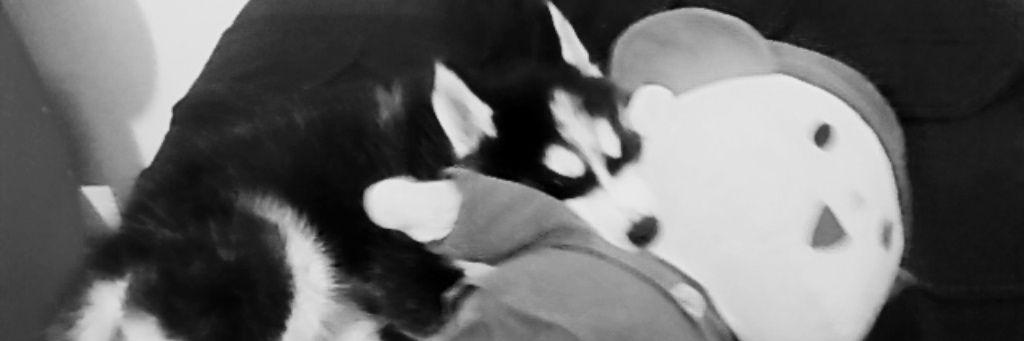 UriyyaY's profile banner image