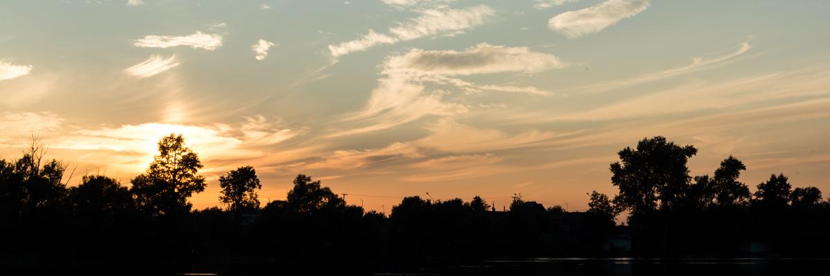 oliegorova's profile banner image